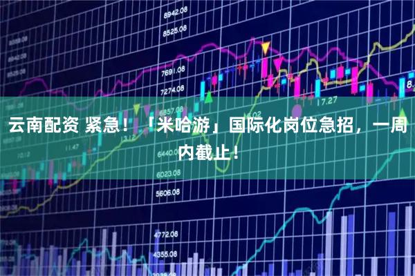 云南配资 紧急！「米哈游」国际化岗位急招，一周内截止！