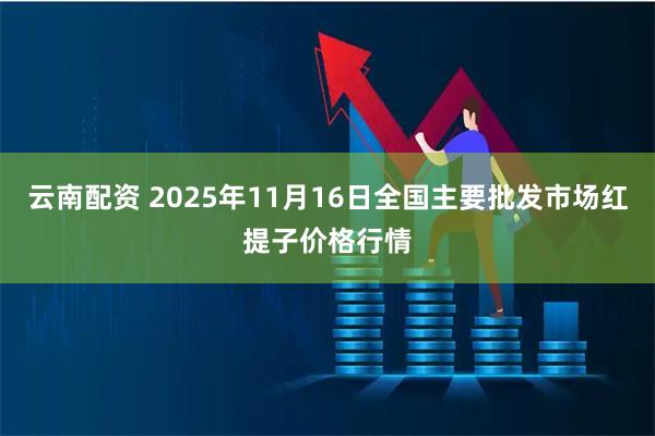 云南配资 2025年11月16日全国主要批发市场红提子价格行情