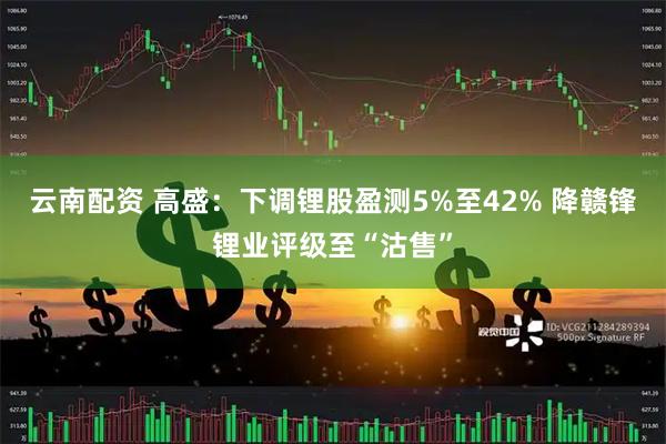 云南配资 高盛：下调锂股盈测5%至42% 降赣锋锂业评级至“沽售”